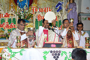 Fr Sahaya Ranjith, CSC, celebrates his First Mass