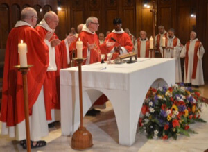 Mass of First Profession for Fr Tanneguy De Saint Martin, CSC