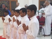 Province of South India Rejoices with Five Final Professions