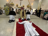 Holy Cross Celebrates Priestly Ordination in the District of Brazil